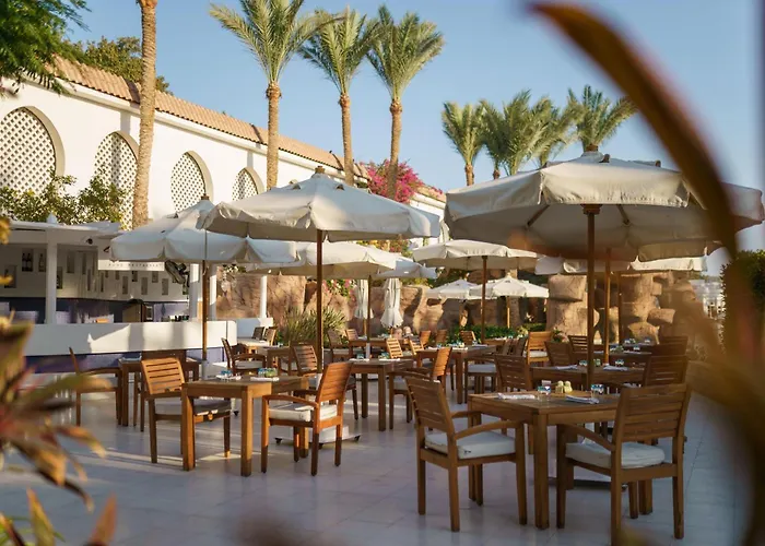 Baron Palms Adults Friendly Only 16 Years Plus Boutique Style