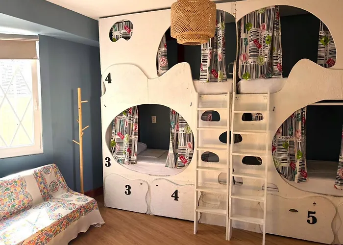 Hotel perto da faculdade: Sunset Destination Hostel