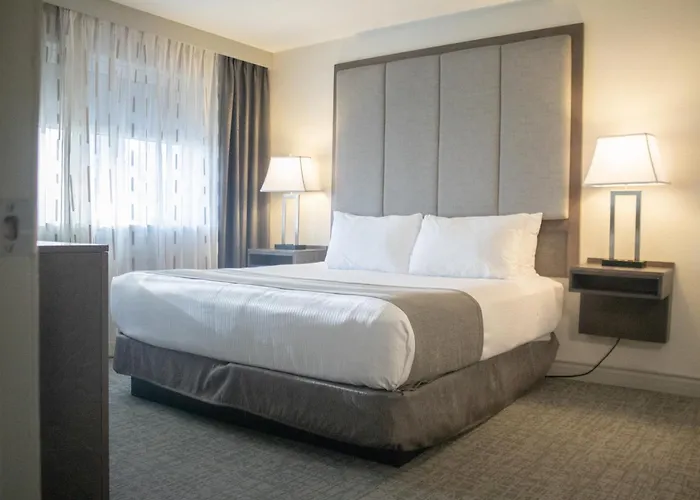Familiehotel: Best Western Plus Sands