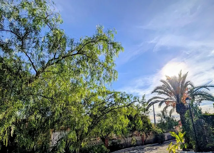 Villa, Big Pool With 3000M2 Garden And Bbq