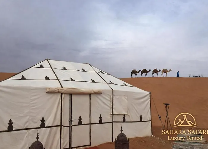 Sahara Safari Luxury Camp & Activities