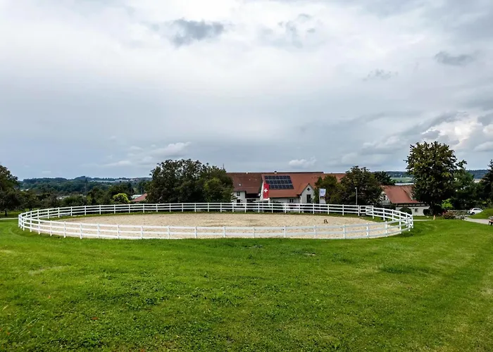 Schnyder Ranch