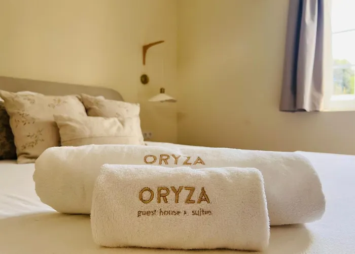 Oryza Guest House& Suites