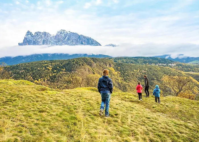 Biene Natururlaub Am Moosbachhof Mit Dolomitenblick