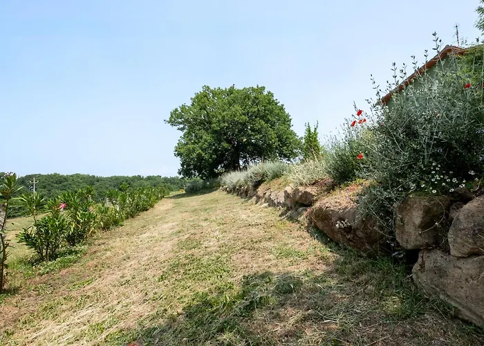 Agriturismo Bio Terre di Naioli
