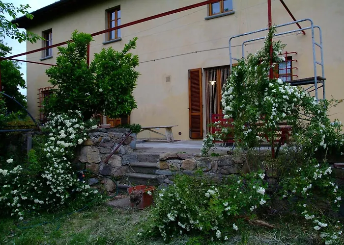 Le Corti - Agriturismo Olio e Vino
