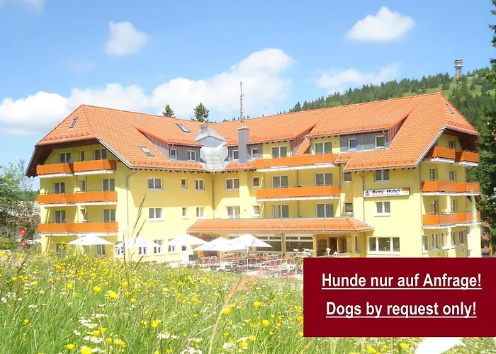 Burg