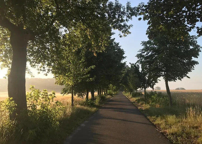 Pensionszimmer im Fliederhof