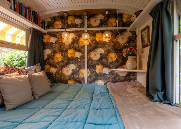 Tiny House