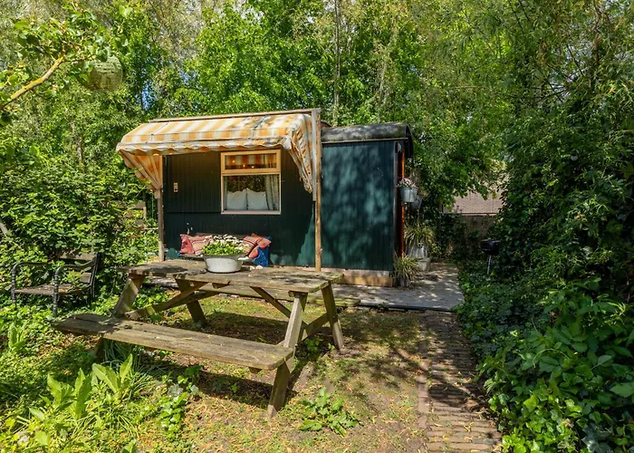  Tiny House