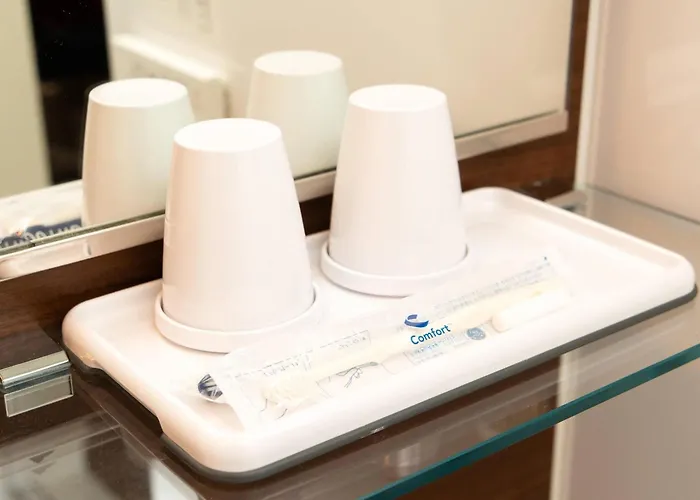 Romantic hotels Comfort Inn Tokyo Roppongi (Adults Only)