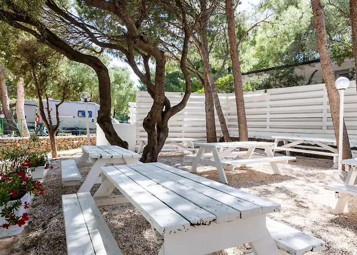 Camping Car Palmasera