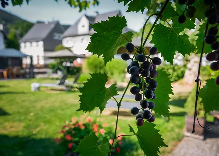 4 Sterne Hotels Landhotel Voss Im Talvital