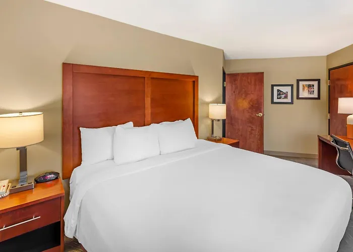 Comfort Inn Missoula Near University