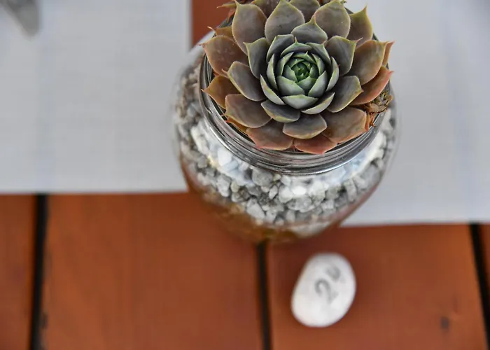 Kornblume