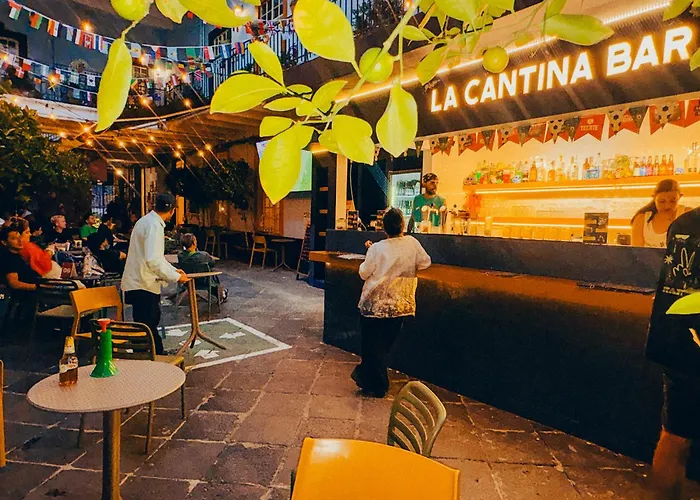 Viajero Cdmx Centro Hostel