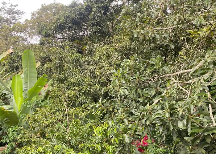 Suíte GUARAMIRANGA no Sítio