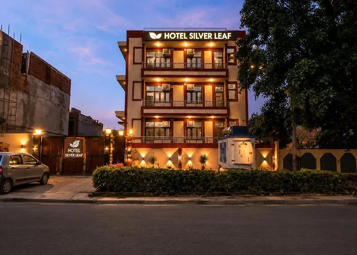 Silver Leaf Noida