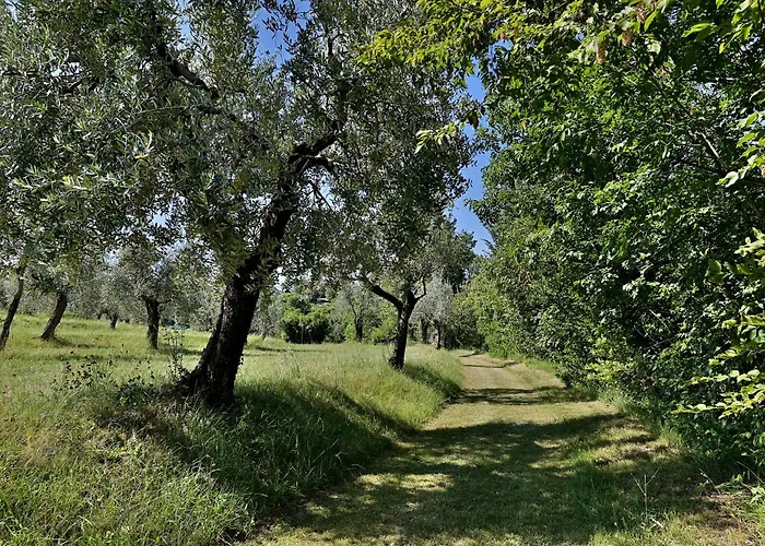 Agriturismo la Scala