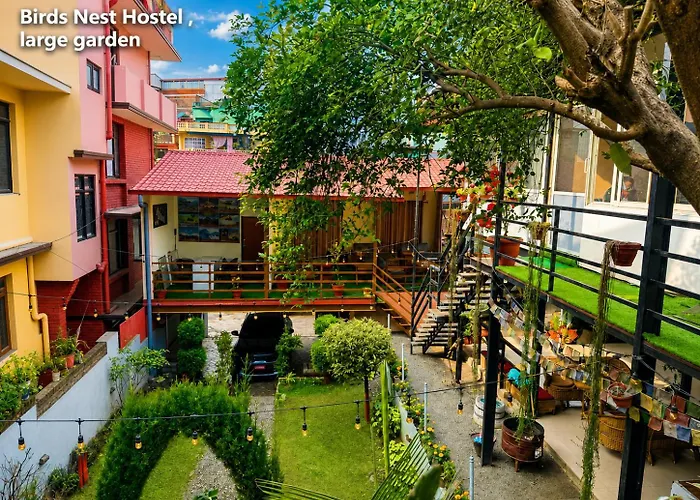 Birds Nest Hostel