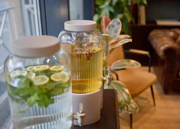 Sanso By Happyculture