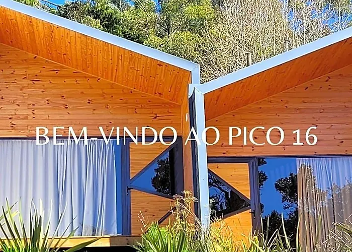  Pico 16