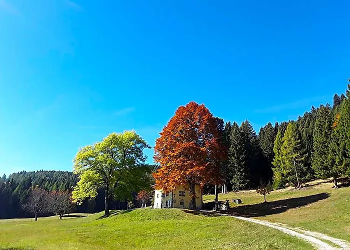 Chalet Musiera