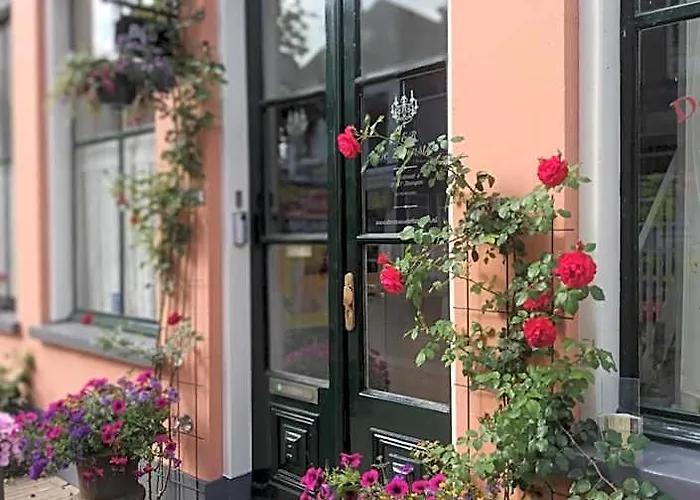 Zevenster Gevestigd Aan De Winkelstraat