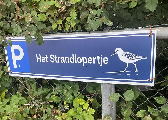 Het Strandlopertje