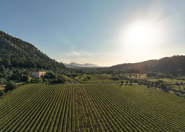 Son Brull Hotel & Spa - Relais & Chateaux