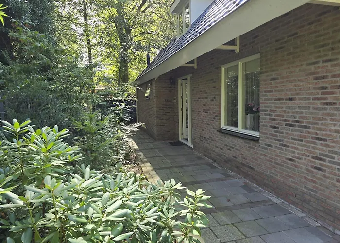 Het Roodborstje