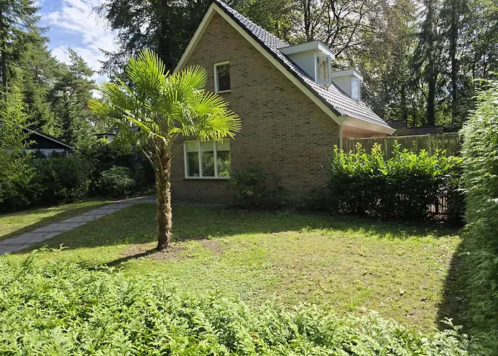 Het Roodborstje