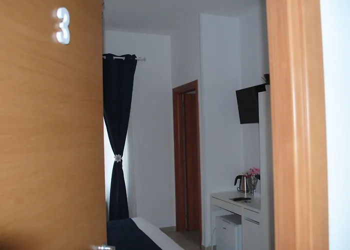  Molo
