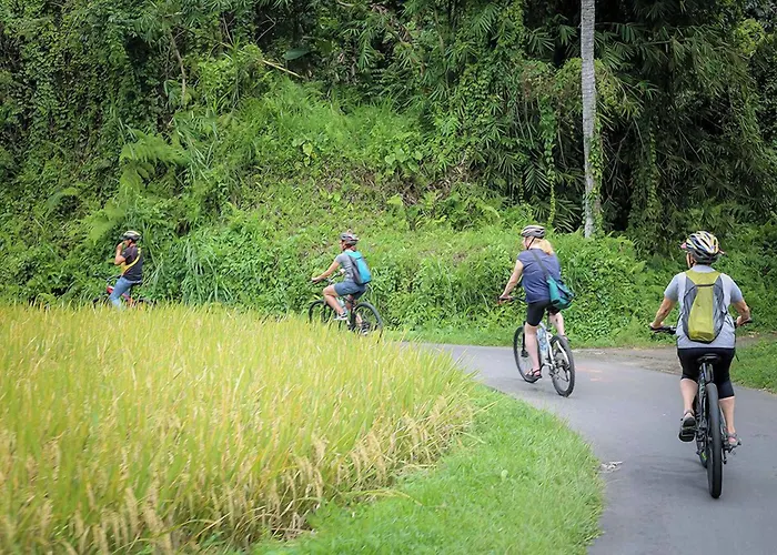 Alam Jiwa Ubud