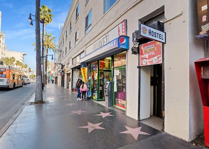Trip to College Samesun Hollywood &