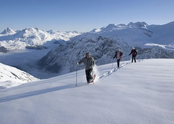 Fernsicht Alpen-s