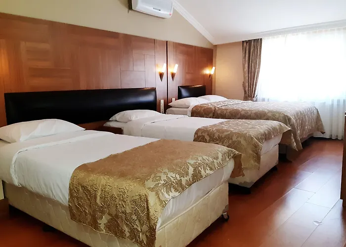 Elasophia Hotel