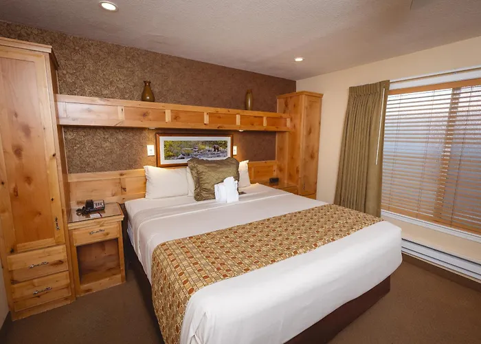 Stardust Lodge