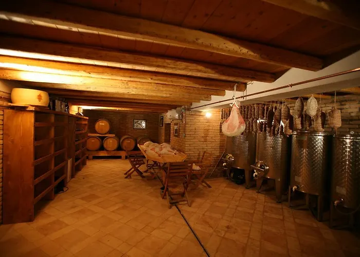 B&B Contarine