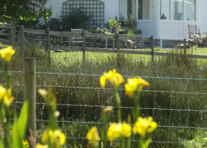 Hotel with view: The Swallows Guest House