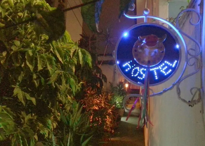 Girassol Hostel Vila Madalena