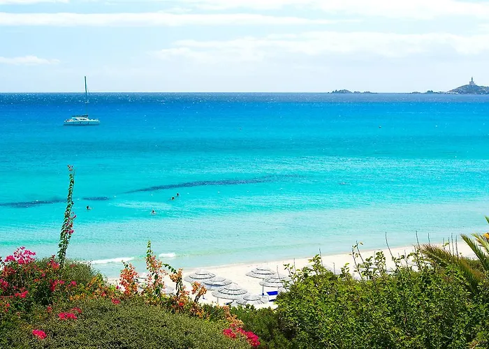 Simius Playa