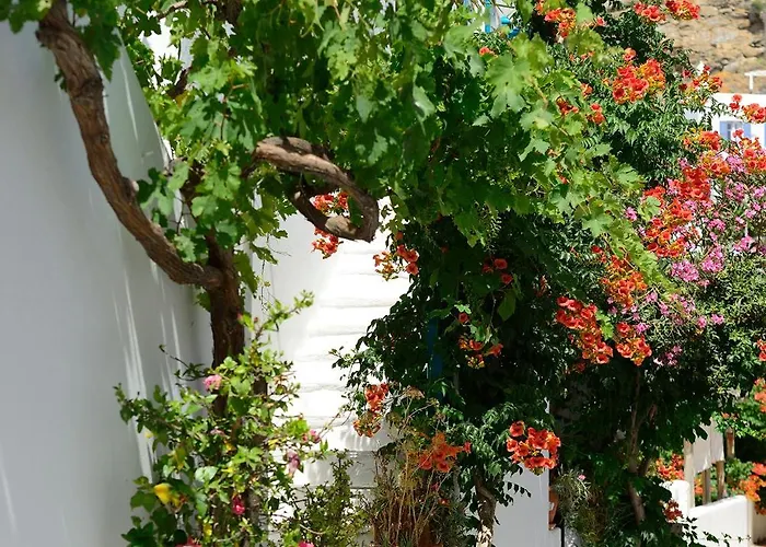 Family Hotel: Hotel Nazos