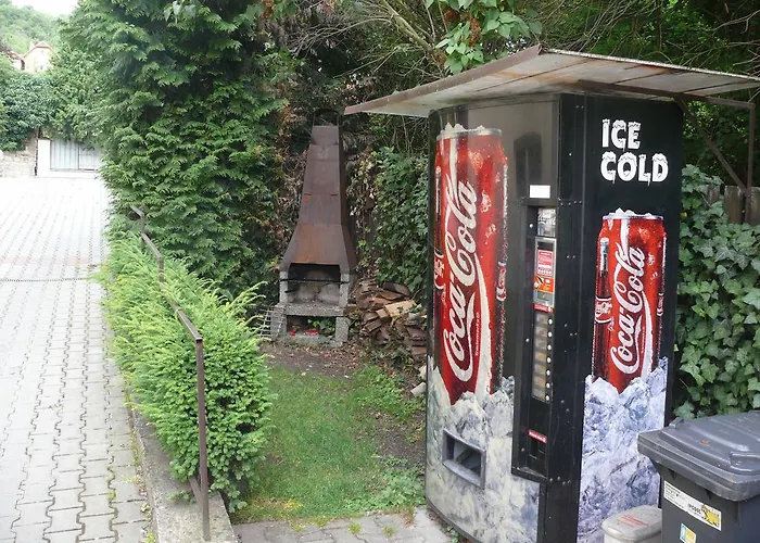 Gastenverblijf: Penzion Dana Troja