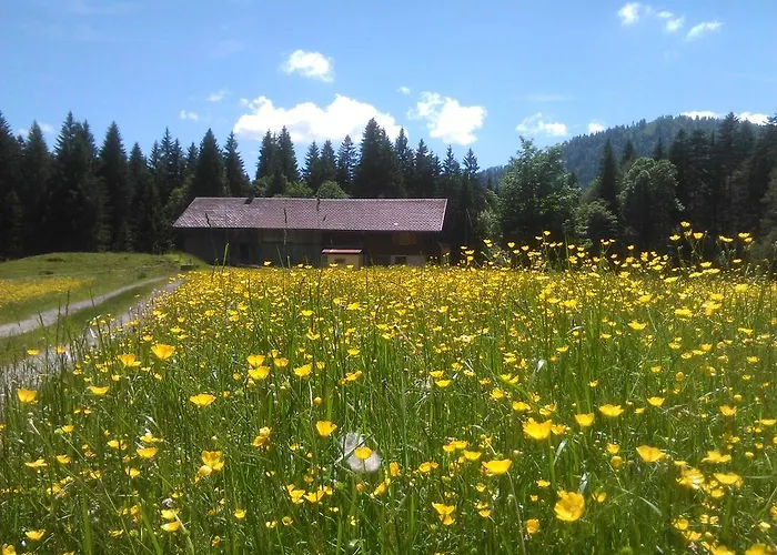 Alpe Leckenholz