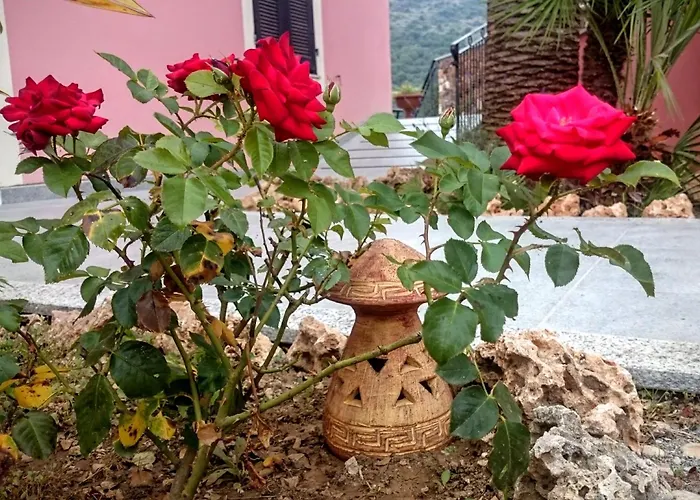 A Carubba Du Bungiurnu