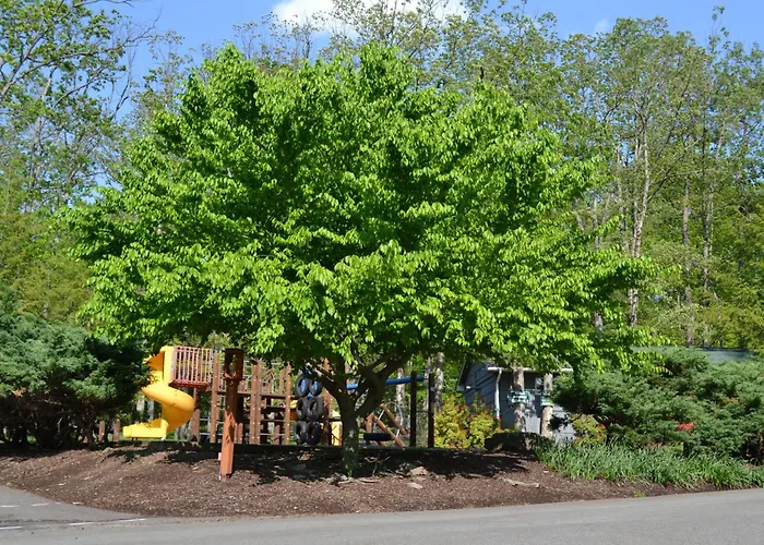 Woodloch Pines