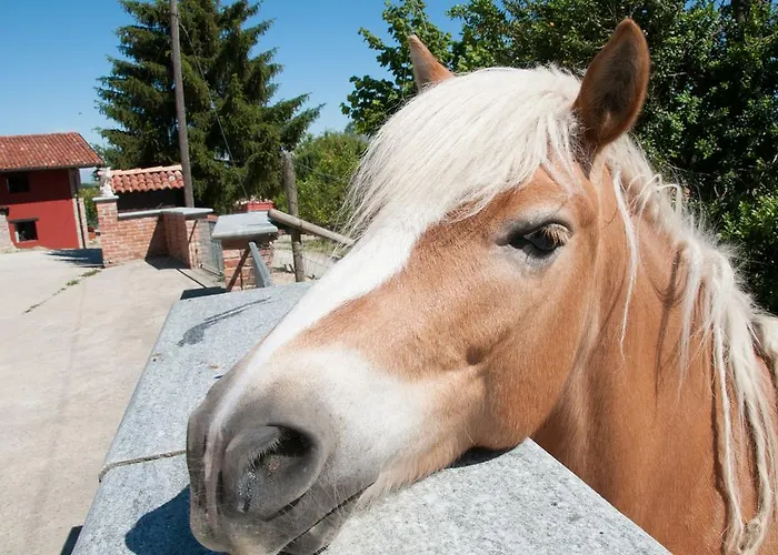 La villa: Cascina La Romana
