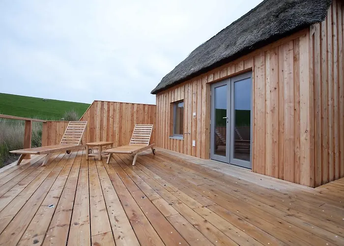 Apartment: Tede Warft