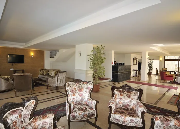 Cheap hotel: Adalia Hotel